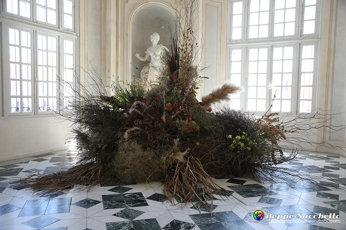 VBS_0330 - Corollaria Flower Exhibition 2022.jpg